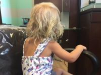 11988723_1624858047802341_1673996850840518356_n